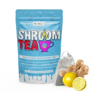 Ginger Lemon Shroom Tea | 1 GRAM