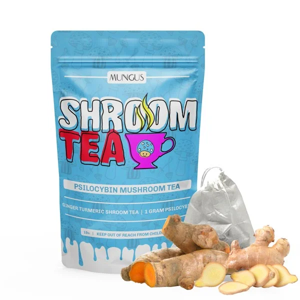 Ginger Turmeric Shroom Tea | 1 GRAM