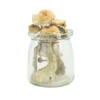 Monster Mack Magic Mushrooms (PREMIUM)