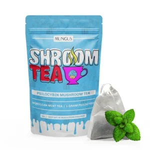 Moroccan Mint Shroom Tea | 1 GRAM